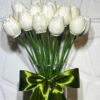 Velas de Tulipán Blanco