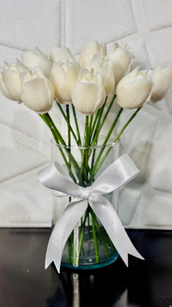 Velas de Tulipán Blanco
